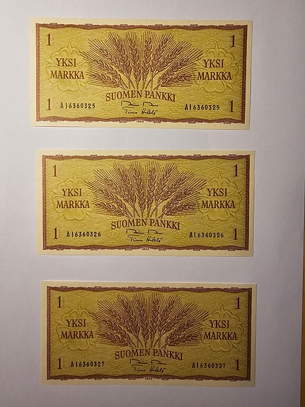1 markan seteli 1963, pakkasileät