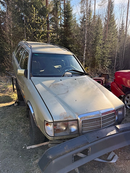 Mercedes benz 124 osina