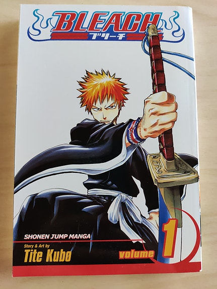 Bleach Manga 1 English
