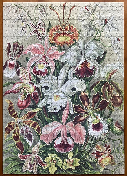 1000 palan palapeli