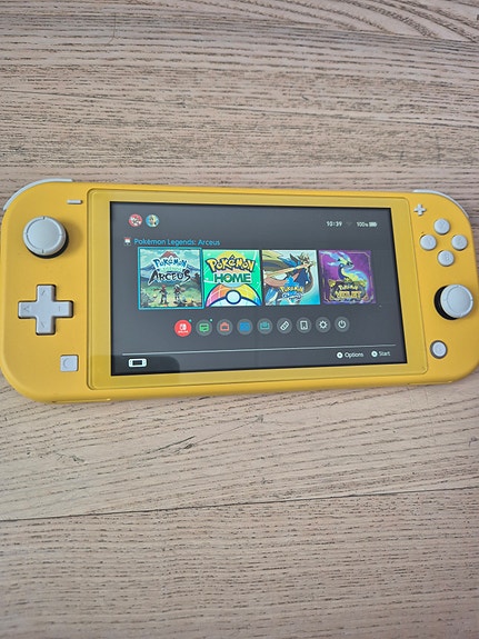 Nintendo switch lite
