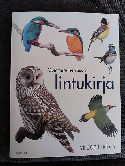 Gummeruksen suuri lintukirja