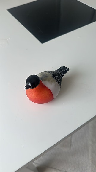 Oiva toikan punatulkku