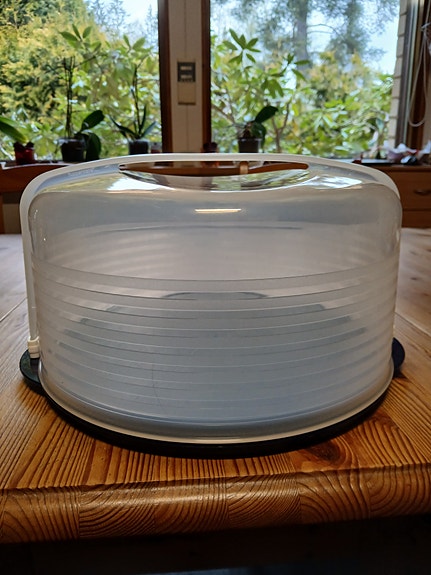 Tupperware Exclusive kakkukupu