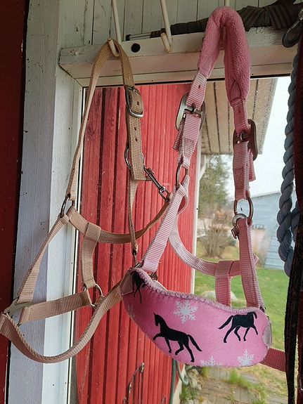 Hevosen riimut ja narut, poni-/hevoskoko