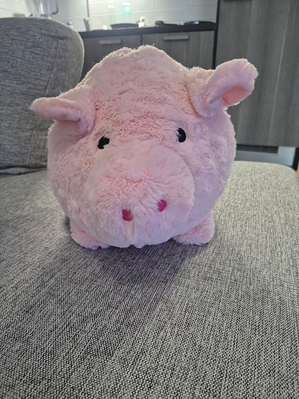 Iso säästöpossu