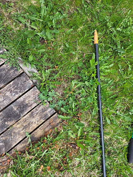 Erillinen varsi ja oksasakset