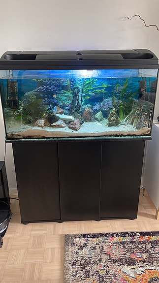 240l Akvaario kaapilla