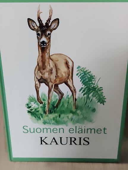 Suomen eläimet Kauris Jorma Leppäniemi Tapani Karinen