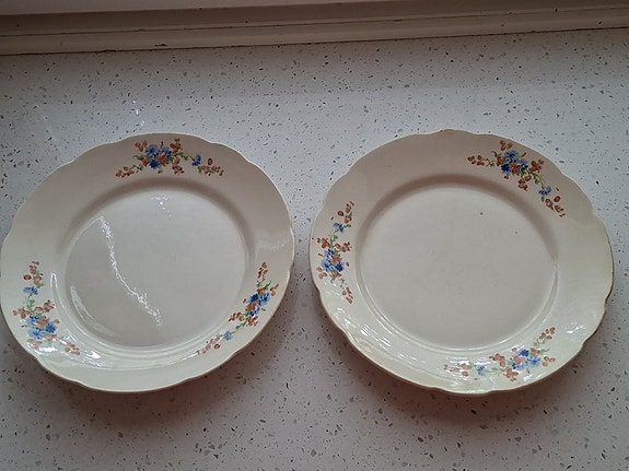 Arabia lautaset Ferra 77 40-50 luku 2 kpl 23 cm