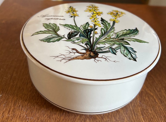 Villeroy & Boch Botanica