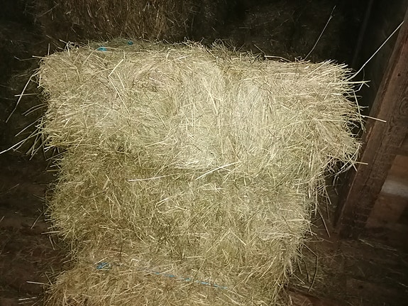 Myydään heinää pienpaaleissa