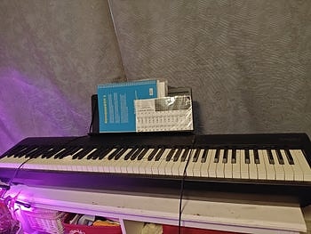 Roland fp-30x