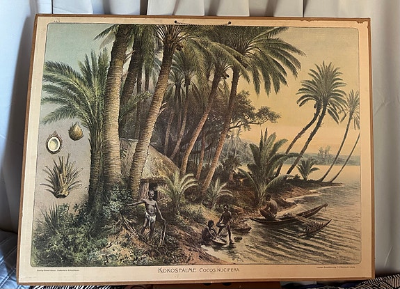 Vanha koulutaulu palmumaisemalla