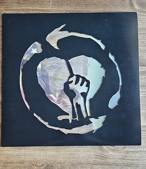 Rise Against - Endgame LP rare