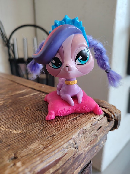 Littlest Pet