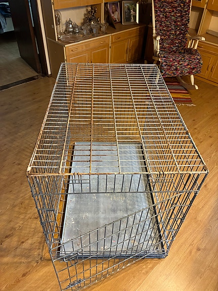 Koiran metallihäkki