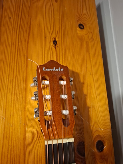 Landora akustinen