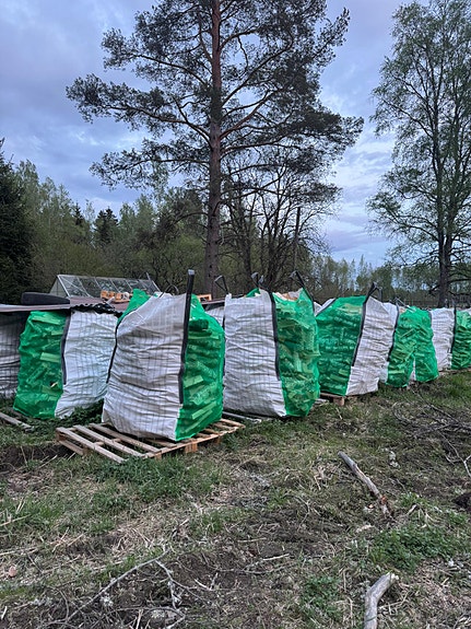 polttopuita, koivu