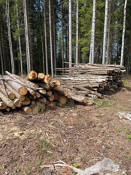 Polttopuuta rankana