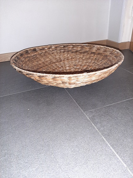 Pajukori ovaali