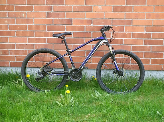 Nishiki 26"