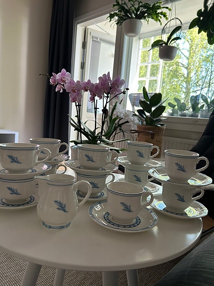 Villeroy & Boch posliini astiat