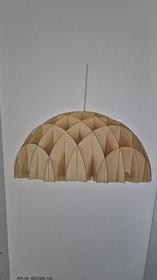 Puinen kattovalaisin