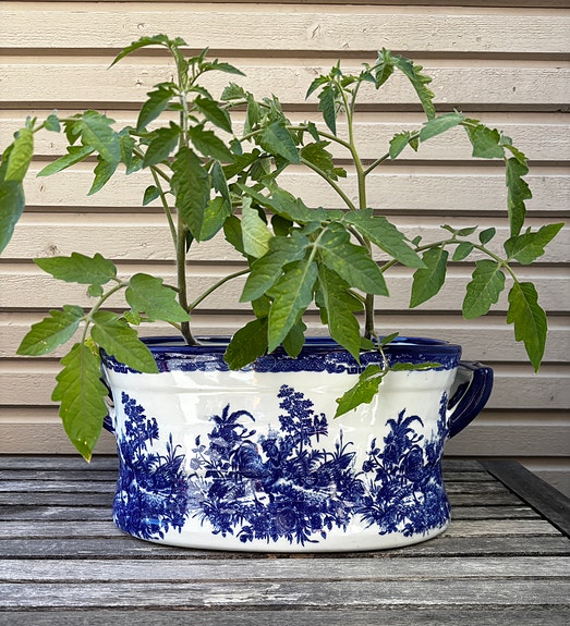 Vanha Jardiniere pesuallas/ ruukku, Espoo