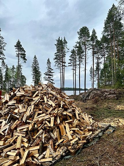 Polttopuut, koivuklapi