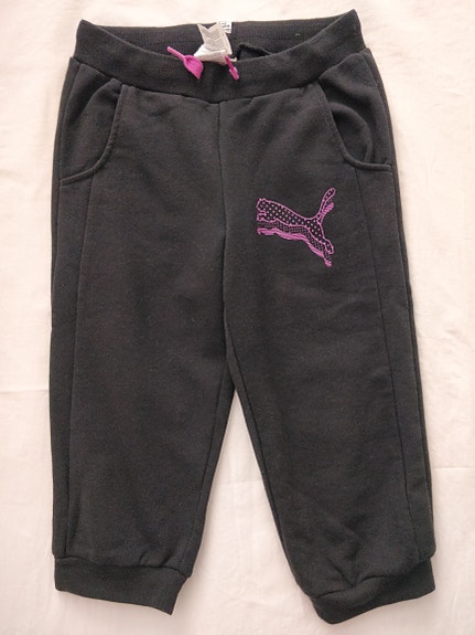 Puma caprit 140