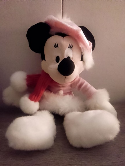 Minni Hiiri Disneyland