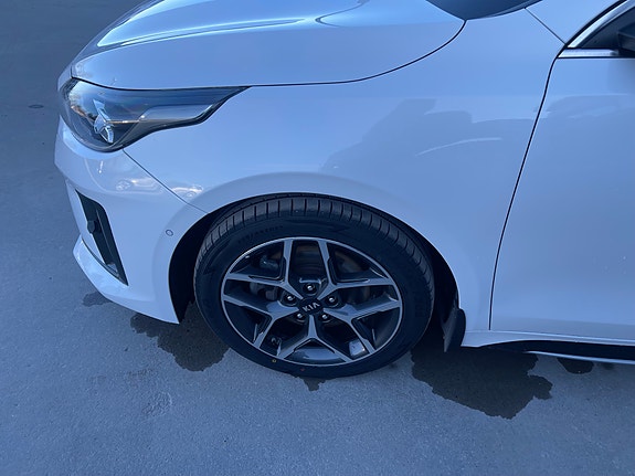kia proceed gt renkaat