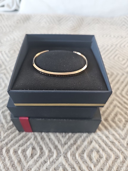Daniel Wellington rannekoru