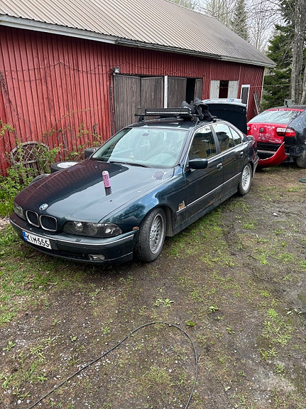 BMW 523ia E39 osina