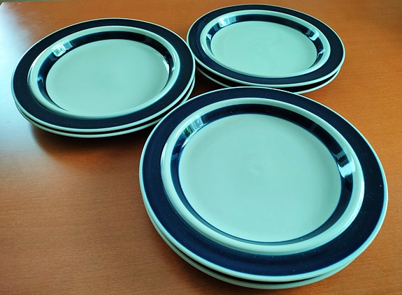 ARABIAn ANEMONE 25 cm Matalat LAUTASET (6 kpl)