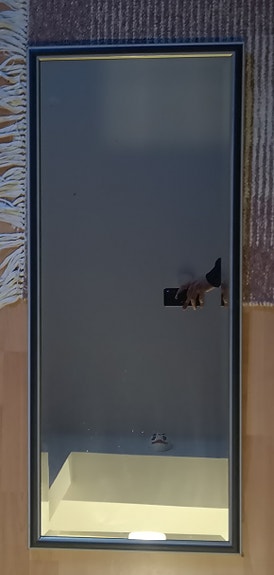 Finnmirror peili