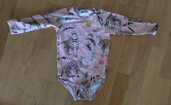 Molo body 74