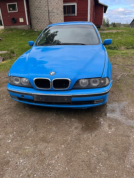 E39 osina
