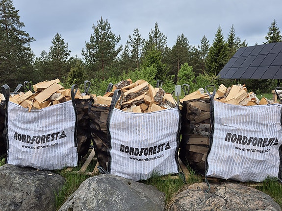 Tuoretta koivuklapia