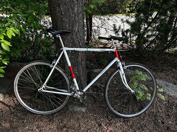 Retro Fixed gear polkupyörä 60cm | Raleigh Royale