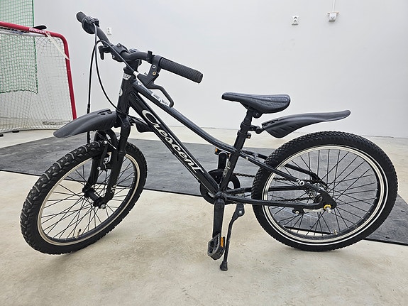 Crescent narre 20"