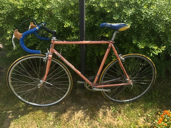 Nishiki Maantiepyörä