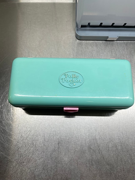 Polly Pocket