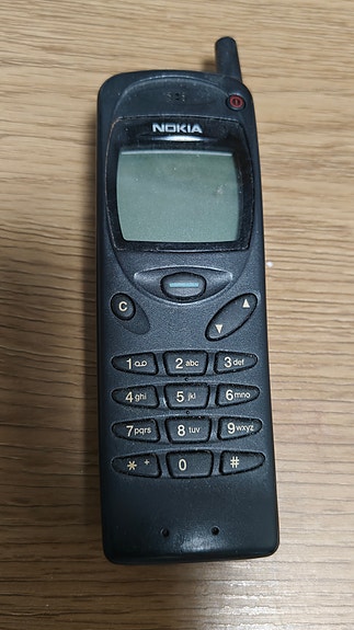 Nokia 3110