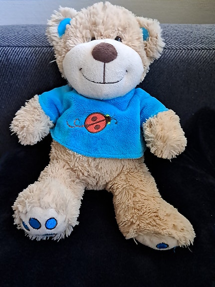 Nalle pehmolelu