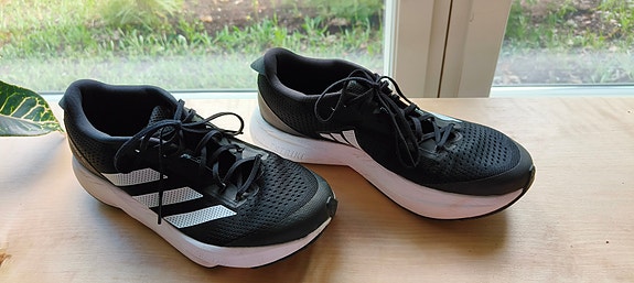 Adidas Adizero SL juoksukengät