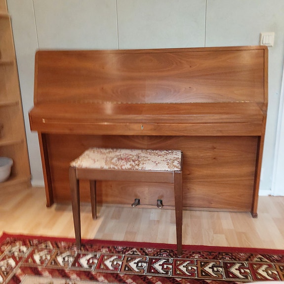 Piano Ribben