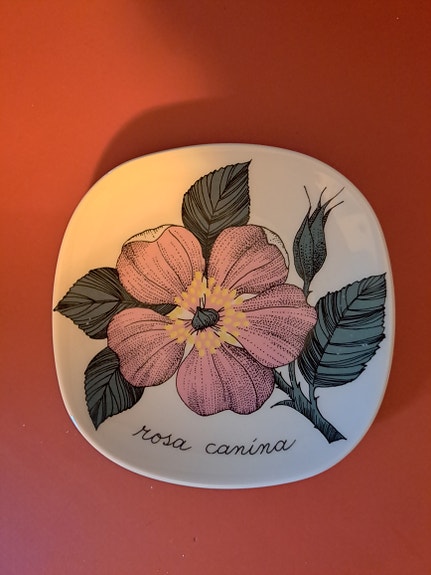 Esteri Tomula seinälautanen