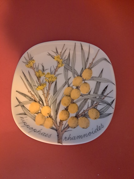 Esteri Tomula seinälautanen